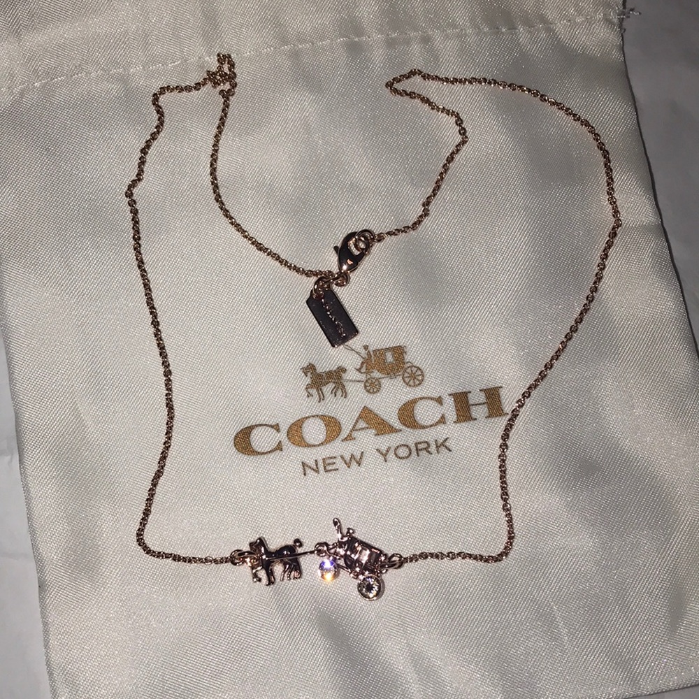 Coach necklace (new)